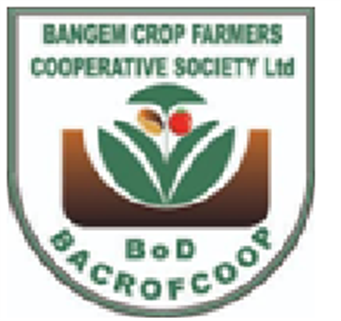 BANGEM CROP FARMERS COORPERATIVE
